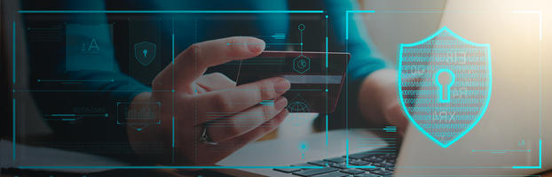 Comply With the California Consumer Privacy Act preview picture